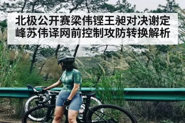 北极公开赛梁伟铿王昶对决谢定峰苏伟译网前控制攻防转换解析