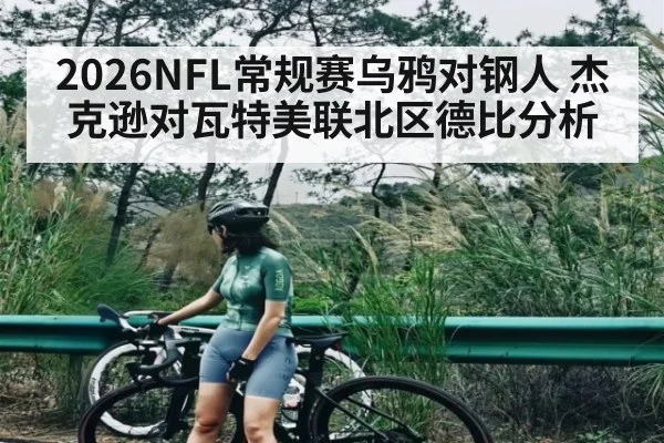 2026NFL常规赛乌鸦对钢人 杰克逊对瓦特美联北区德比分析